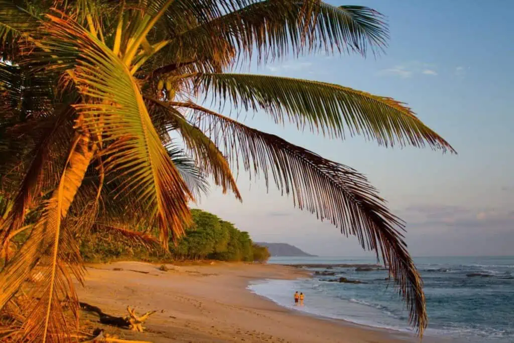 Santa Teresa, Costa Rica: A Guide to The Coolest Beach Town You've